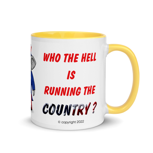 Republican coffee mug - if the lunatics are running the asylum